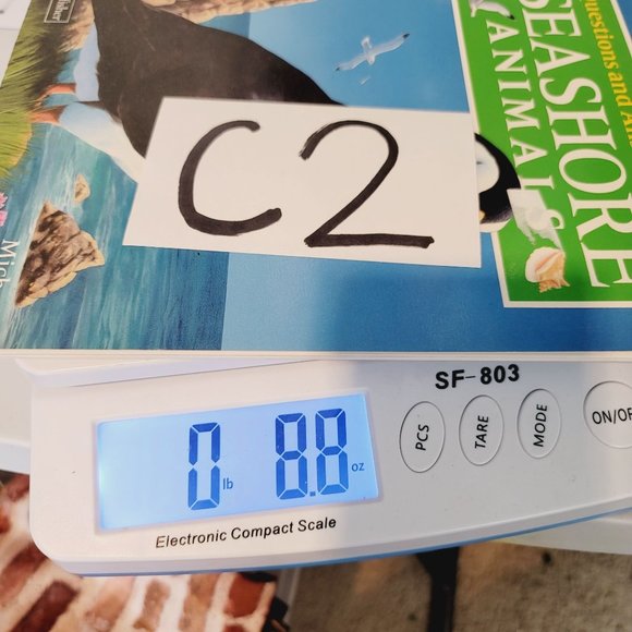 VINTAGE 1992 Kingfisher Wild World Of Animals: Seashore Illustrated Kid's Book - Picture 6 of 6